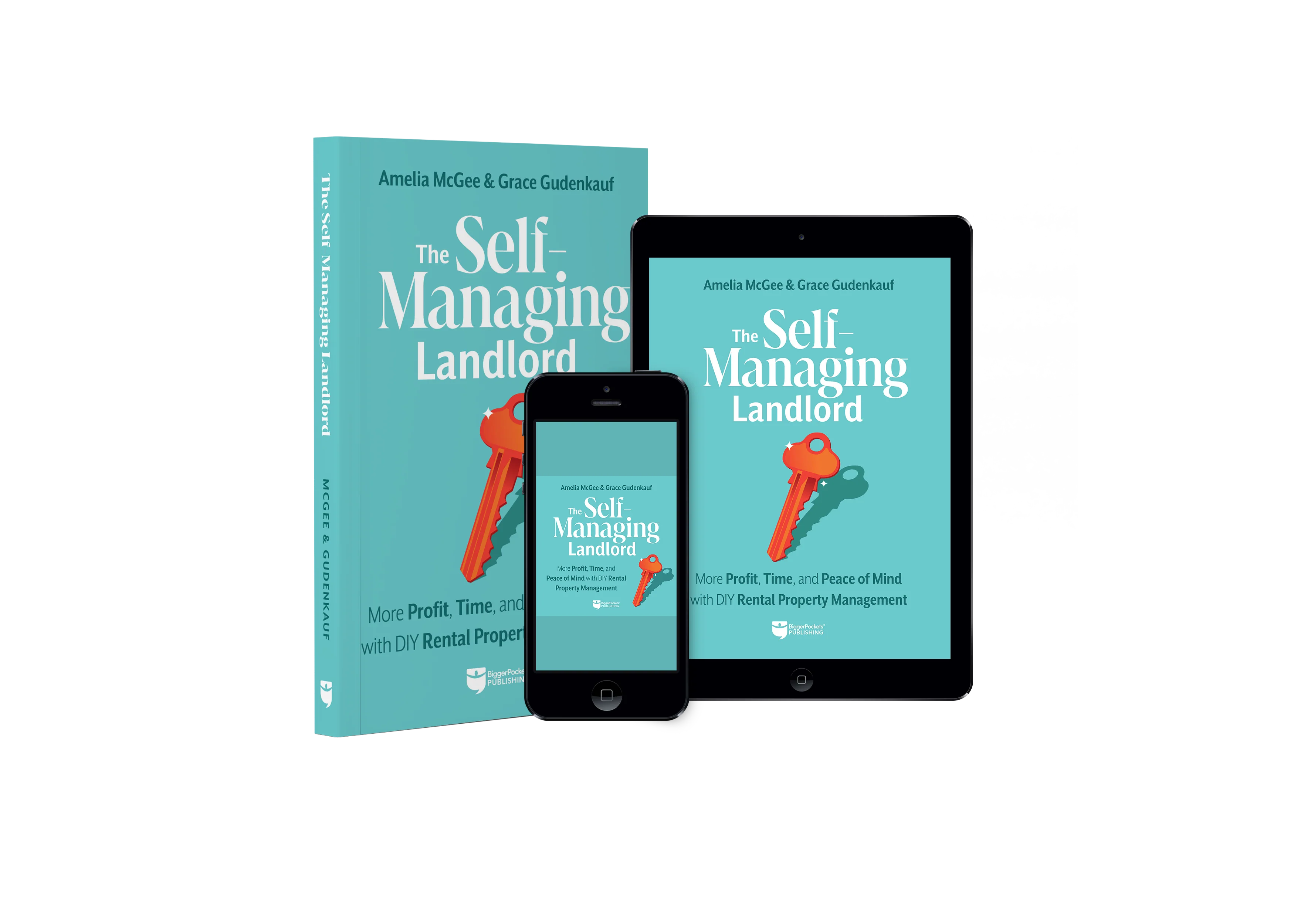 Self-Managing Landlord - Image 3